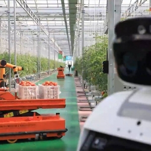 好评中国 | 跑好“年底棒”，冲刺“满堂彩”