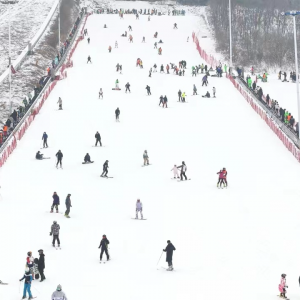 辽宁：小雪花绽放新动能