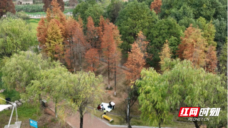 郴州宜章梧塘湖公园：斑斓初冬  多姿多彩（新媒体）199.png