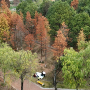 组图 | 宜章县梧塘湖公园：斑斓初冬 多姿多彩