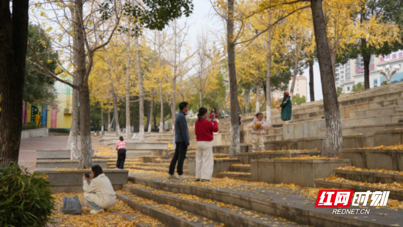 郴州宜章梧塘湖公园：斑斓初冬  多姿多彩（新媒体）203.png