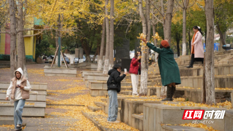 郴州宜章梧塘湖公园：斑斓初冬  多姿多彩（新媒体）204.png