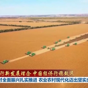 践行新发展理念 中国经济行稳致远丨乡村全面振兴扎实推进 农业农村现代化迈出坚实步伐 ...