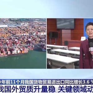 视频丨成绩亮眼！我国外贸质升量稳 关键领域动能强劲