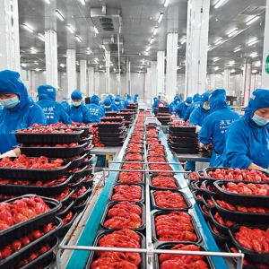 瞭望丨南县稻虾产业何以全国领先