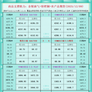 一张图看商品支撑阻力：金银油气+铂钯铜农产品期货(2025年12月9日) ...