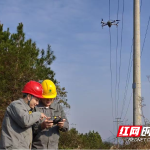国网永州供电公司：全面清障 保障主网稳定度冬