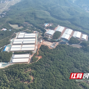 新五丰：破局“猪周期”的国资智慧