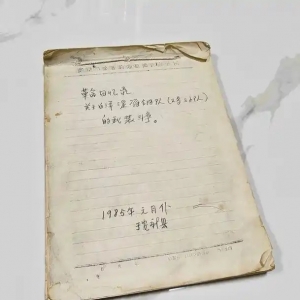 理响中国·烽火丹心丨白洋淀上斩日寇！抗战传奇雁翎队