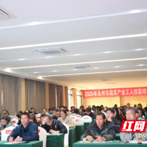 科技赋能“菜篮子”  专家齐聚永州新田共绘蔬菜产业新图景