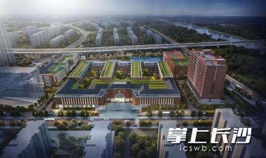 苏州外国语学校长沙校区效果图。