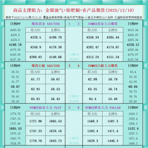 一张图看商品支撑阻力：金银油气+铂钯铜农产品期货(2025年12月10日) ...