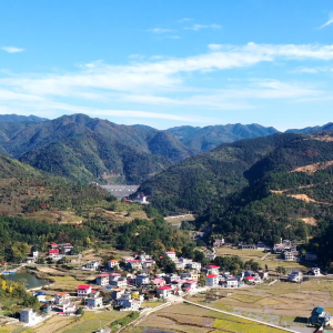 千城百县看中国｜湖南东安：“树说”和美乡村