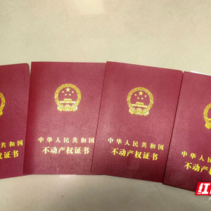 株洲高新区为企业办证开辟“快车道”