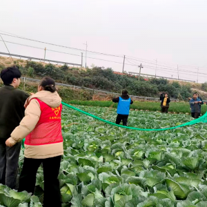雨湖区“以网换网”护鸟惠民 绘就生态民生双赢新图景