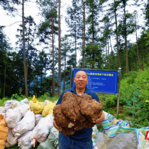 邵阳隆回：“林改”绘就“绿富同兴”新画卷