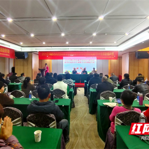 新化县：播撒数字“种子” 耕耘振兴沃土