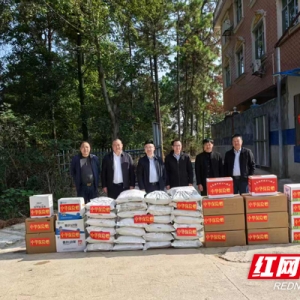 中华财险新邵县支公司：政企携手筑牢生猪养殖“安全网”