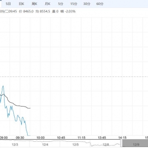基本面缺乏实质性改善动力 工业硅短期或维持震荡整理态势