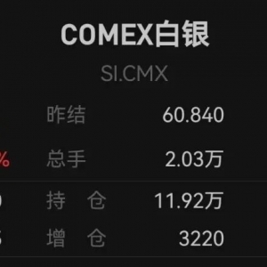 创历史新高！伦敦现货白银价格年内涨幅已超100%！