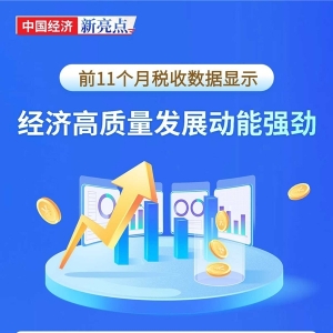 【图解】前11个月税收数据显示——经济高质量发展动能强劲