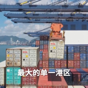 视频丨回望2025，看见中国经济高质量发展的确定性