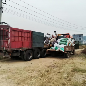 湖南蓝山：种养循环串起乡村振兴“黄金链”