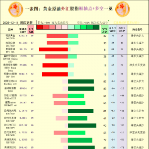 一张图：2025年12月11日黄金原油外汇股指“枢纽点+多空持仓信号”一览 ...
