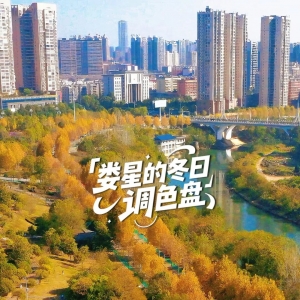 娄星藏不住的诗意冬景，每帧都美到 “心巴” 上～