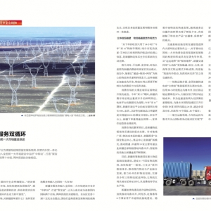 拥抱大市场 服务双循环——新疆服务和主动融入全国统一大市场建设综述 ...