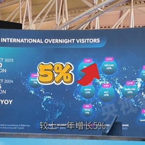 记者Vlog丨迪拜旅游数据亮眼 城市日历收录中国春节