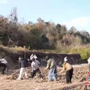 让“闲田”变“忙田” 农村创业新力量让冬日乡村“火”起来 ...