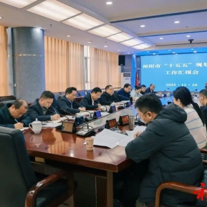 祁阳：蒋崇华主持召开“十五五”规划编制工作汇报会