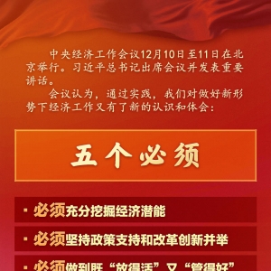 做好新形势下经济工作新认识和体会：五个必须！
