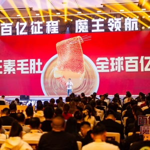 盐津铺子发布“大魔王战略” 定义中国风味零食新未来