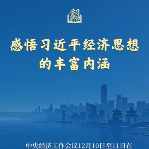学习新语｜感悟习近平经济思想的丰富内涵