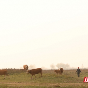 大美红图丨湘江枯水河床成市民活动“新场所”
