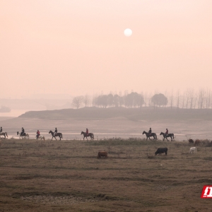 大美红图丨湘江河床变“牧场”，都市人骑马逐夕阳