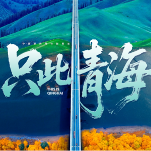 外国专家：中国对全球能源转型具有重要贡献