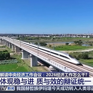 视频丨2026经济工作怎么干?“八个坚持”释放哪些信号？专家解读 ...