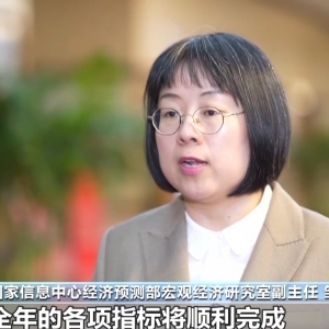 视频丨主要目标将顺利完成 中国经济今年有哪些亮眼表现？专家解读 ...