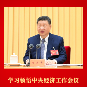 第一观察｜学习领悟中央经济工作会议提出的“五个必须”