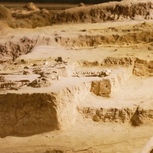 新华视点丨为了不应被遗忘的生命