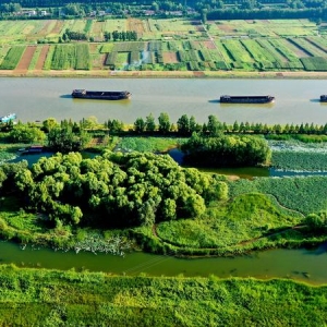 运河新韵丨千年大运河变身“绿色长廊”