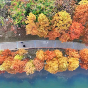 千城百县看中国丨湖南冷水滩：色彩斑斓 冬景如画