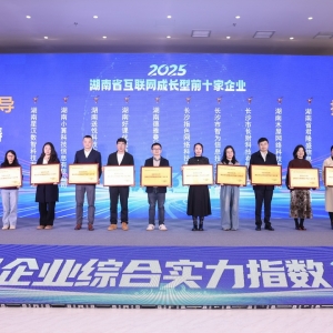 湘江新区这家在线教育企业斩获2025年省互联网“成长型企业10强” ...