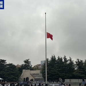视频丨侵华日军南京大屠杀遇难同胞纪念馆举行升国旗和下半旗仪式 ...