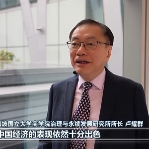 视频丨国际人士表示中国高质量发展表现出色 为世界经济注入稳定性 ...