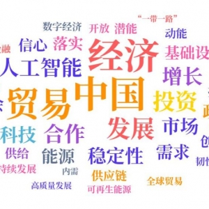 大数据揭示外媒眼中的中国经济关键词