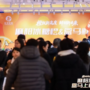 麻阳冰糖橙盒马上新 产地与零售平台深度协同